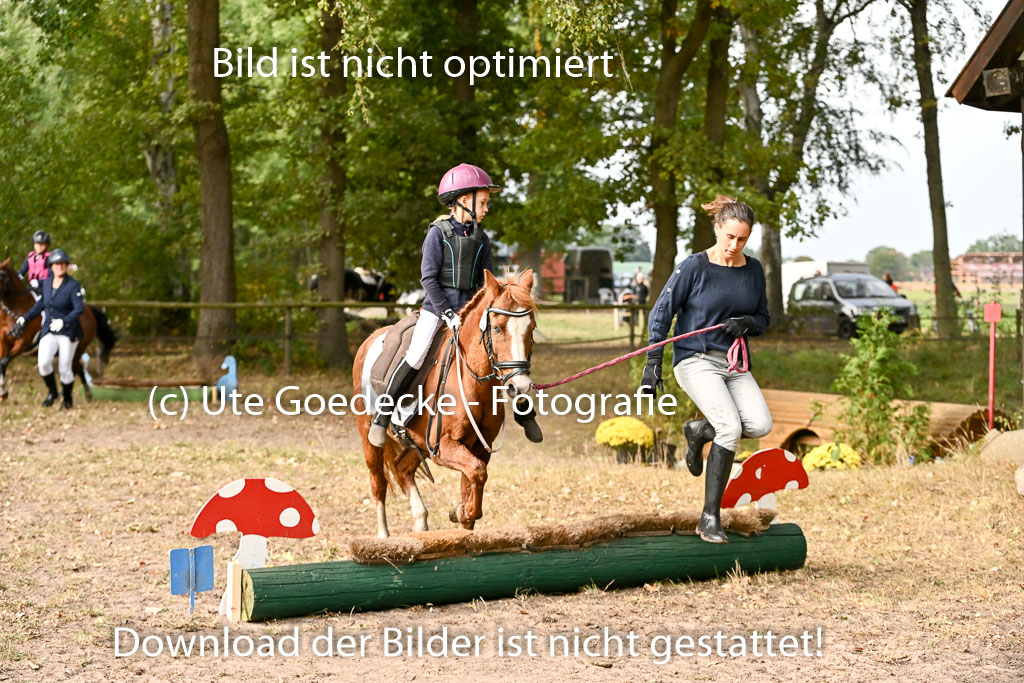  | 27092025  Führzügel WB _092 