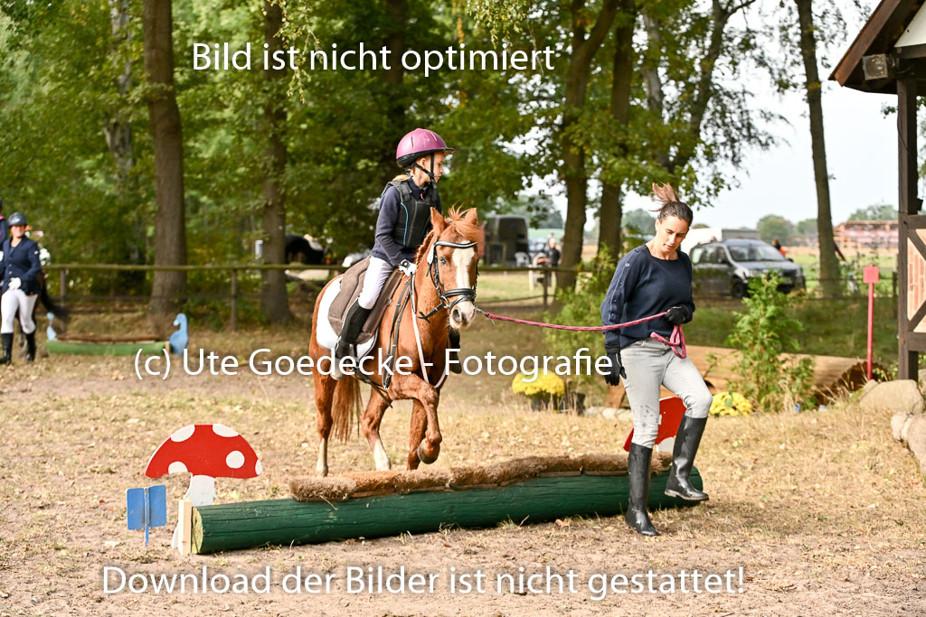  | 27092025  Führzügel WB _093 