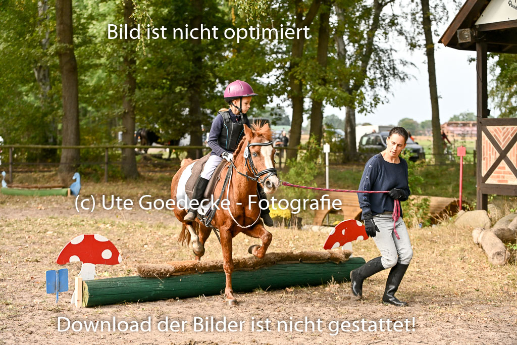  | 27092025  Führzügel WB _094 