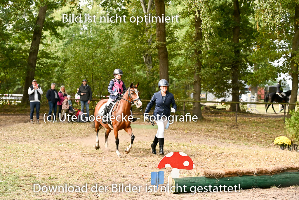  | 27092025  Führzügel WB _095 