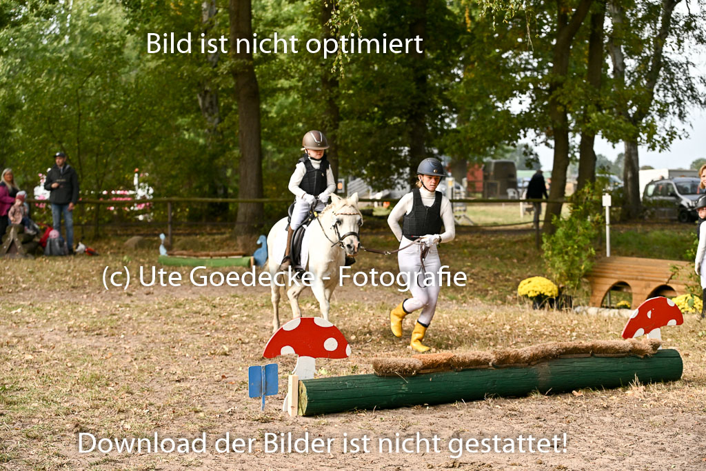  | 27092025  Führzügel WB _100 