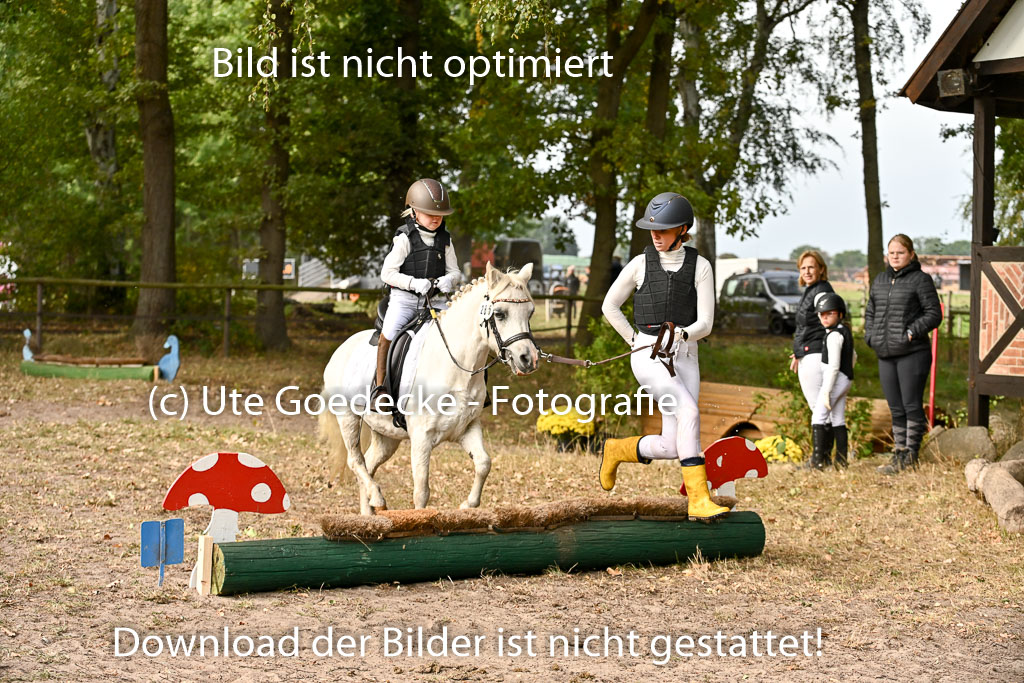  | 27092025  Führzügel WB _101 