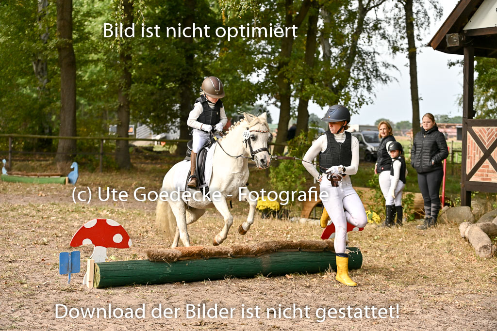  | 27092025  Führzügel WB _102 