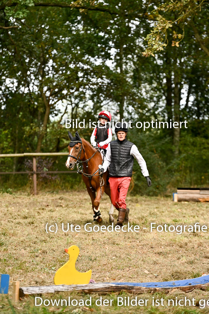  | 27092025  Führzügel WB _105 