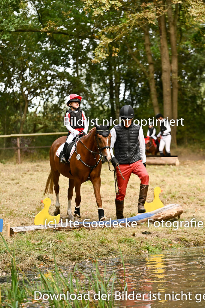  | 27092025  Führzügel WB _106 