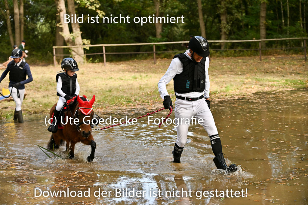  | 27092025  Führzügel WB _108 