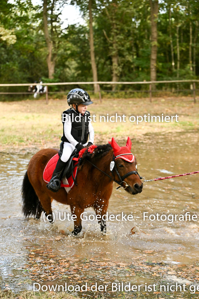  | 27092025  Führzügel WB _109 