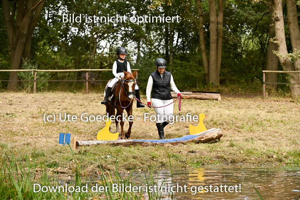  | 27092025  Führzügel WB _116 
