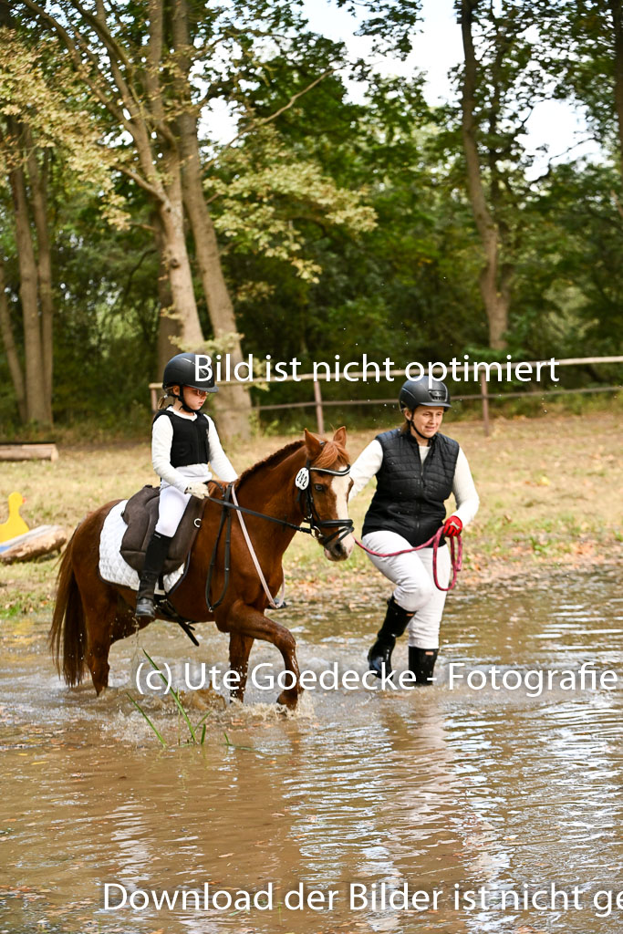  | 27092025  Führzügel WB _118 