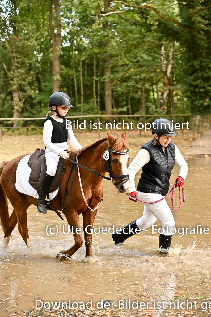  | 27092025  Führzügel WB _119 