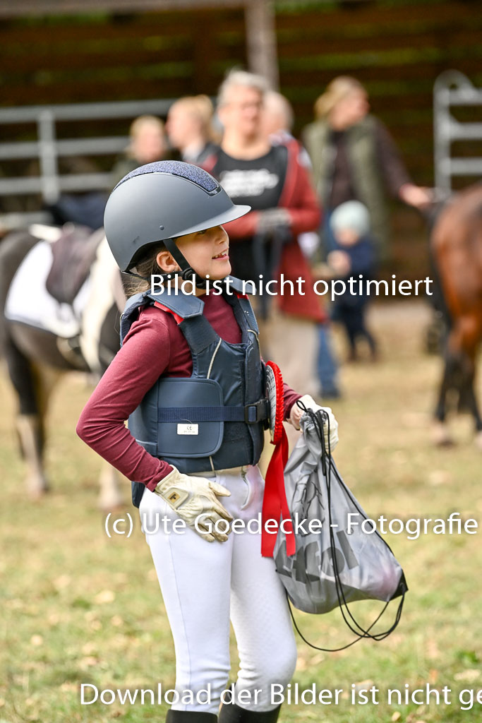  | 27092025  Führzügel WB _131 