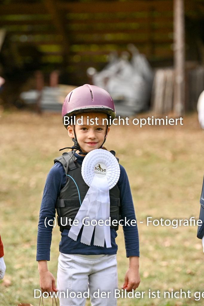  | 27092025  Führzügel WB _134 