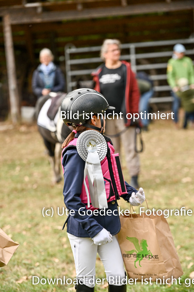  | 27092025  Führzügel WB _135 