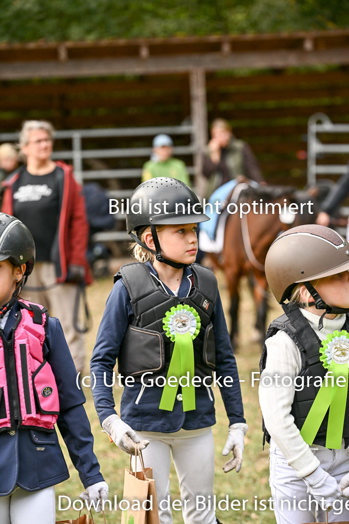  | 27092025  Führzügel WB _137 