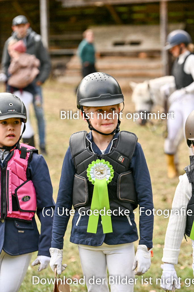  | 27092025  Führzügel WB _141 