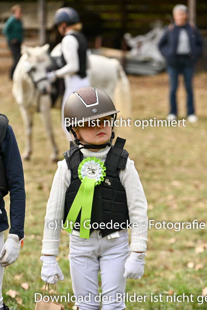  | 27092025  Führzügel WB _142 