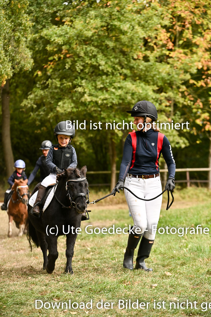  | 27092025  Führzügel WB _165 