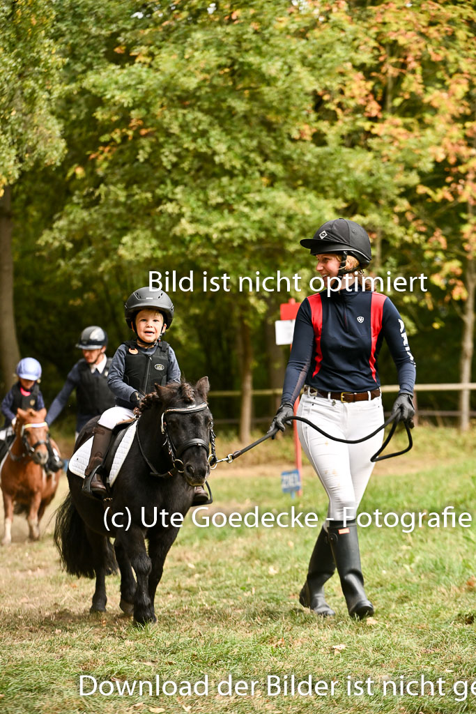  | 27092025  Führzügel WB _166 