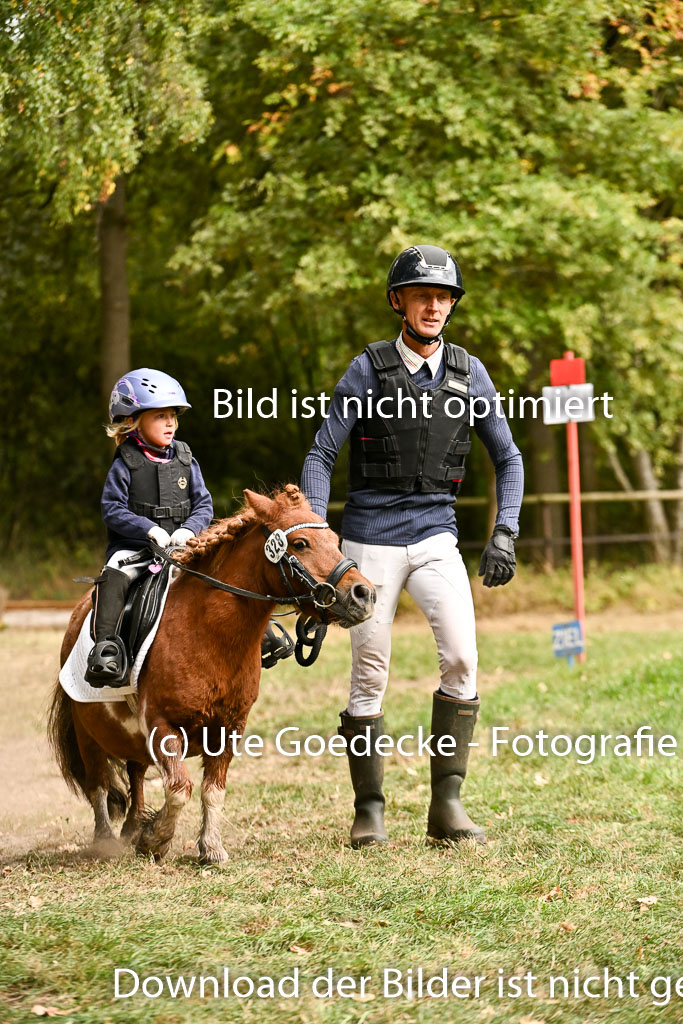  | 27092025  Führzügel WB _168 