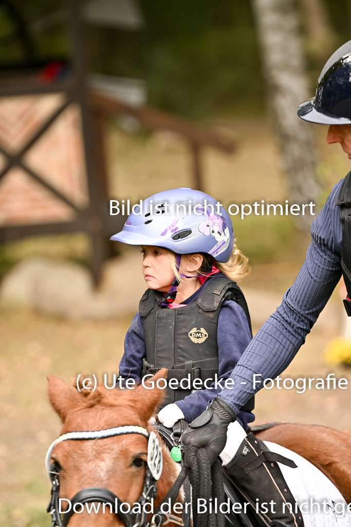  | 27092025  Führzügel WB _174 
