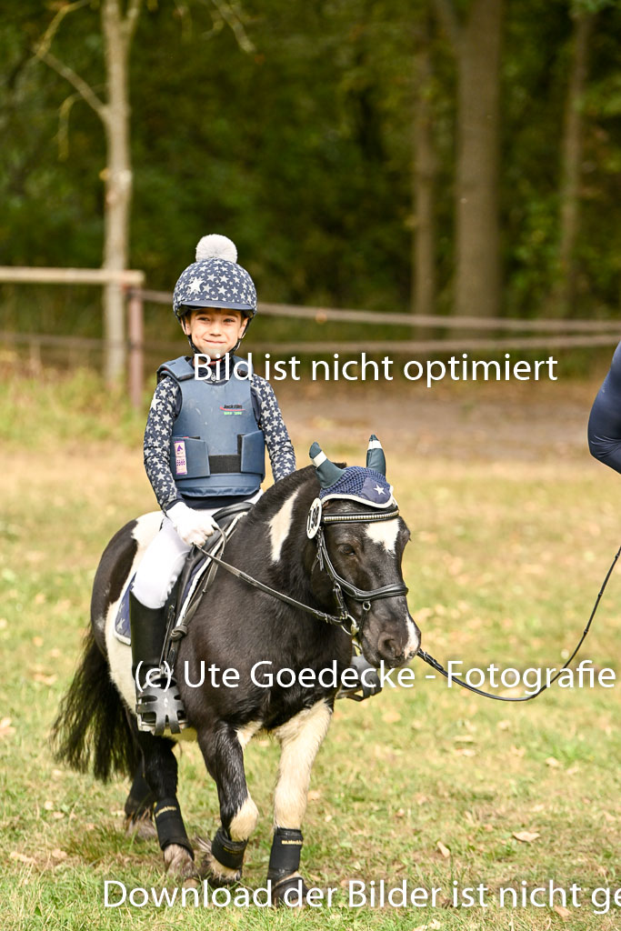  | 27092025  Führzügel WB _175 