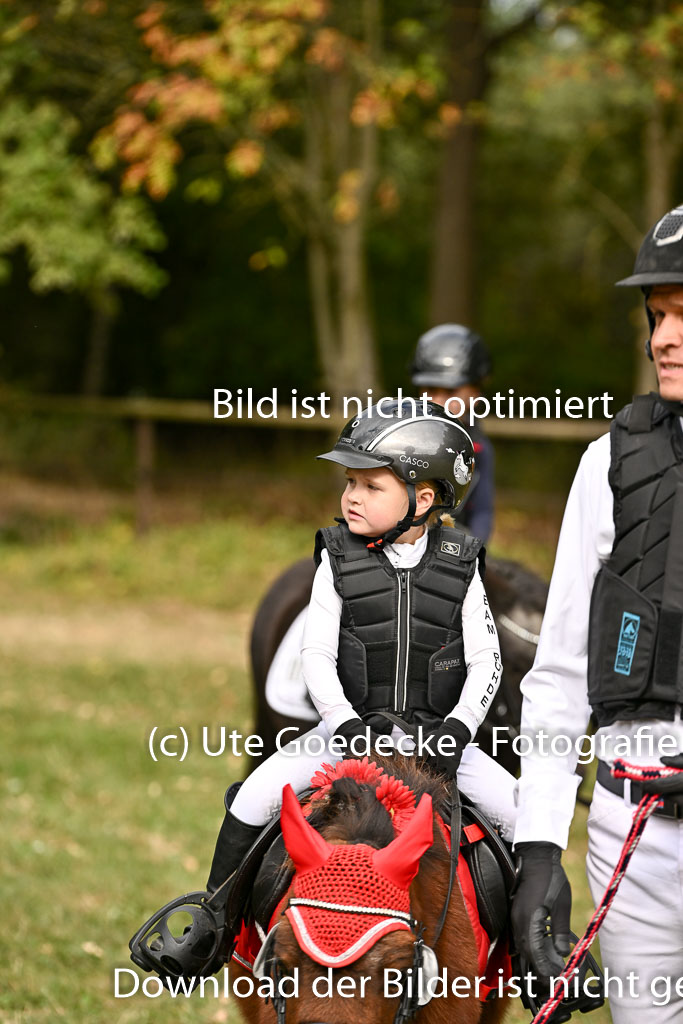  | 27092025  Führzügel WB _176 