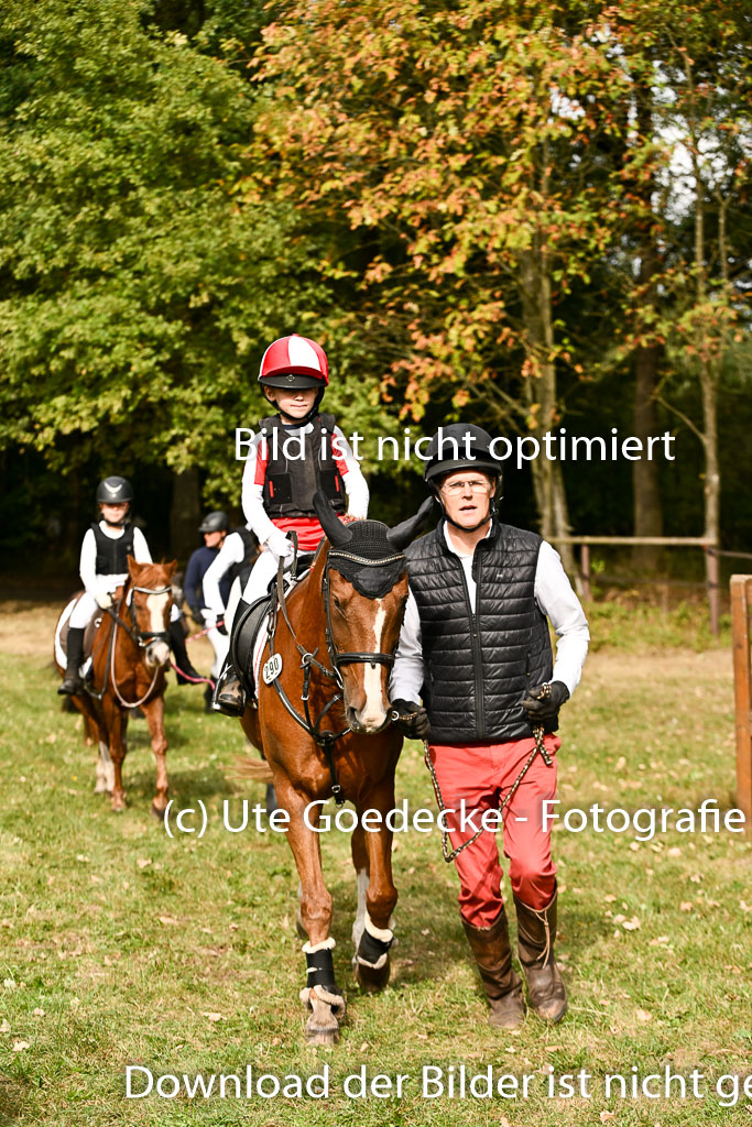  | 27092025  Führzügel WB _186 