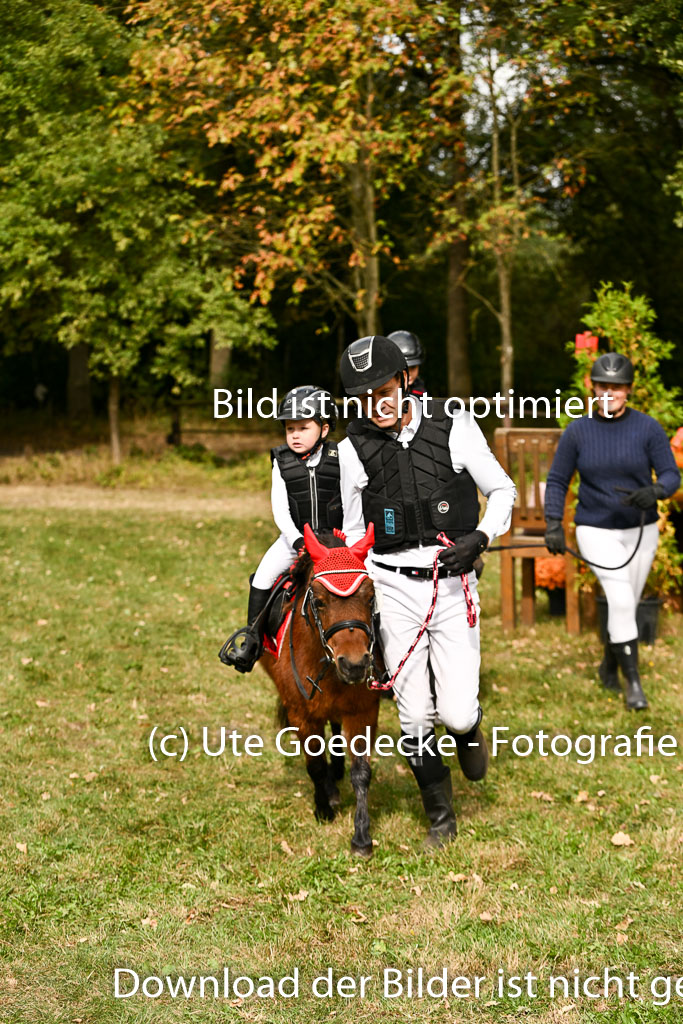  | 27092025  Führzügel WB _188 