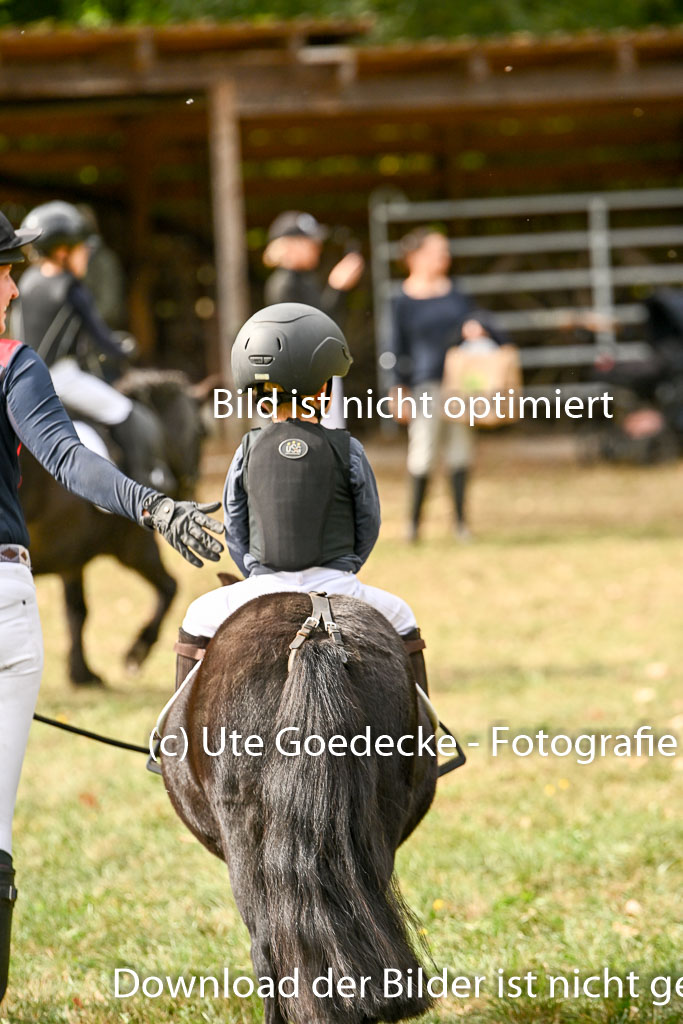  | 27092025  Führzügel WB _193 