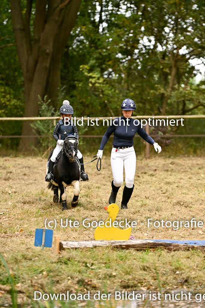  | 27092025  Führzügel WB _195 