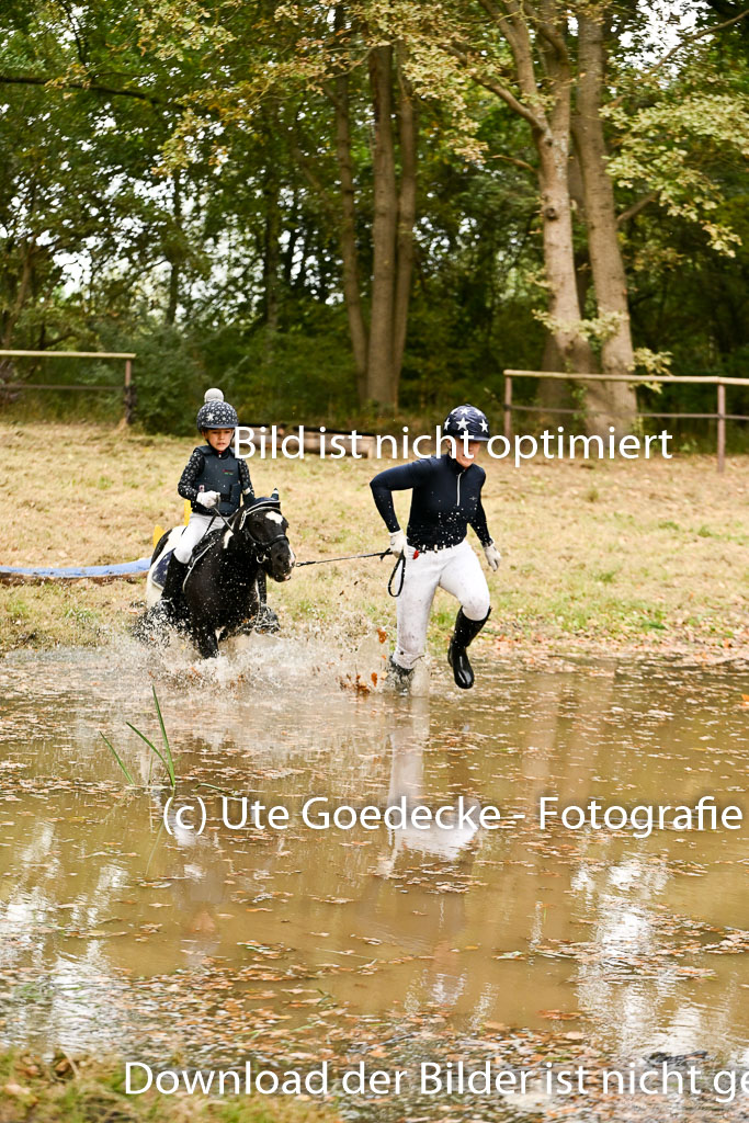  | 27092025  Führzügel WB _197 