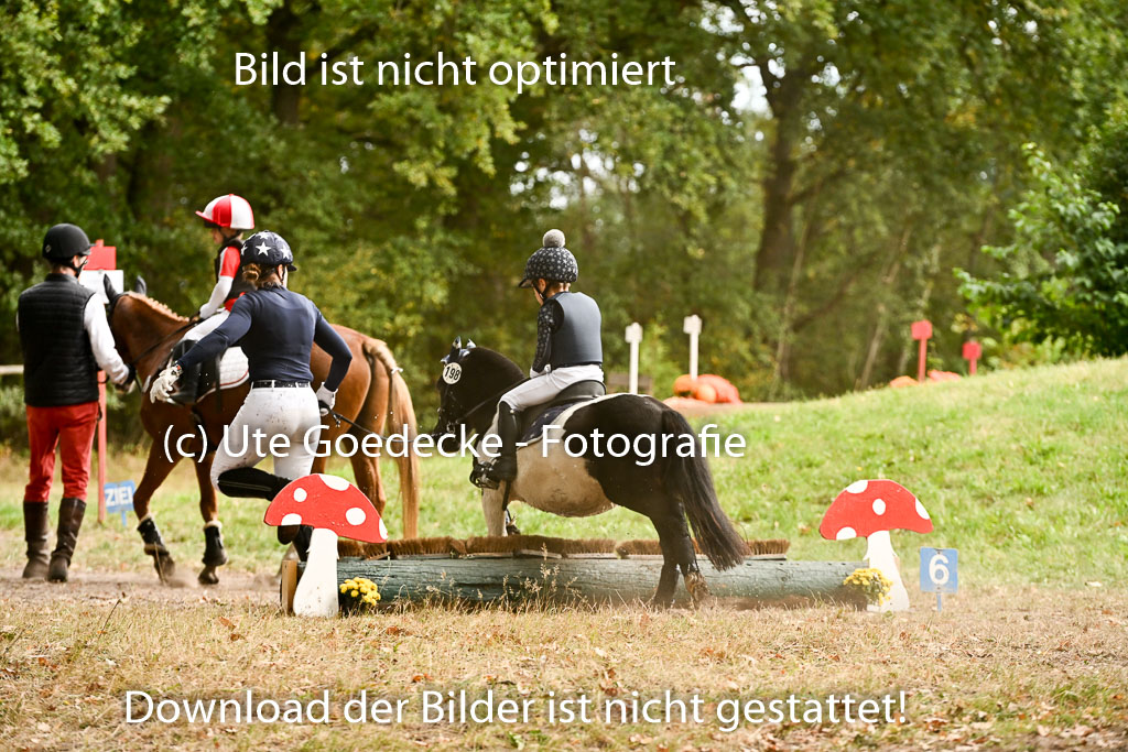  | 27092025  Führzügel WB _201 