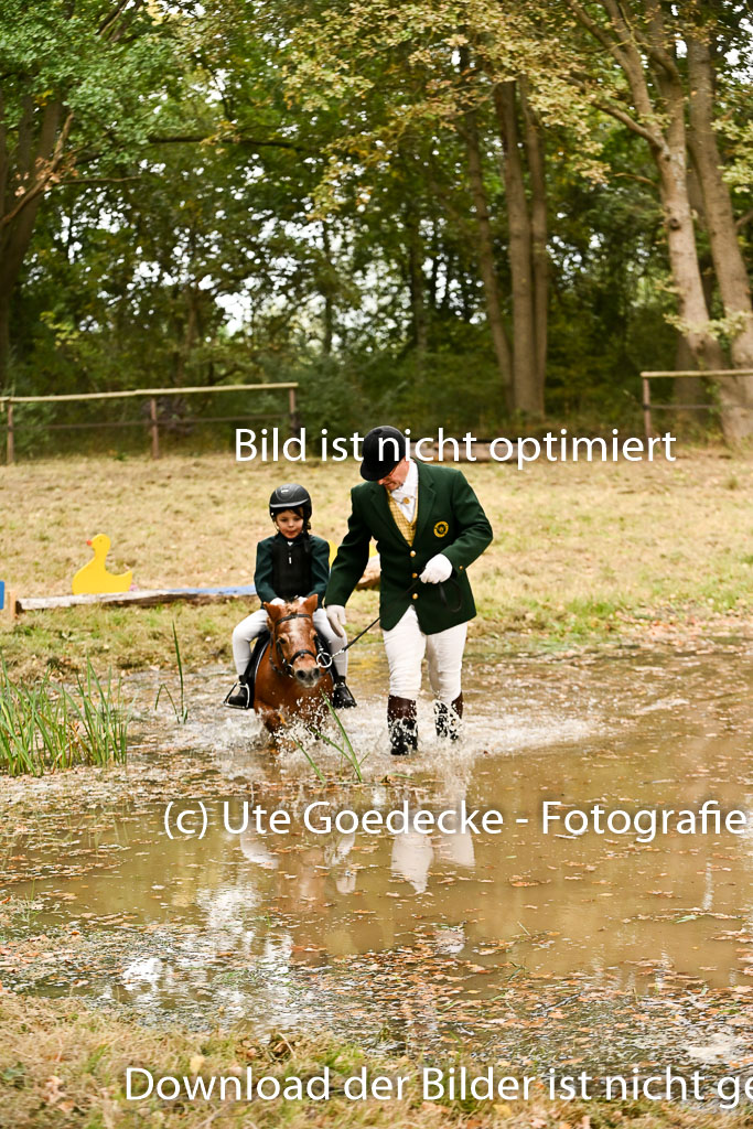  | 27092025  Führzügel WB _206 