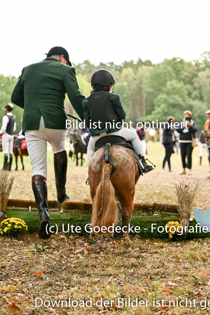  | 27092025  Führzügel WB _208 