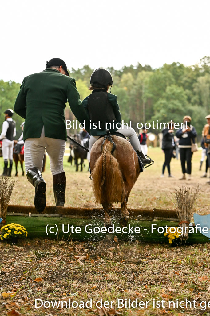  | 27092025  Führzügel WB _209 