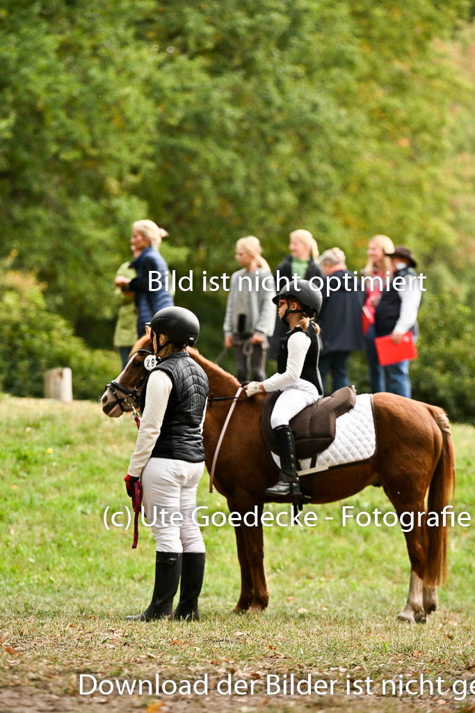  | 27092025  Führzügel WB _212 