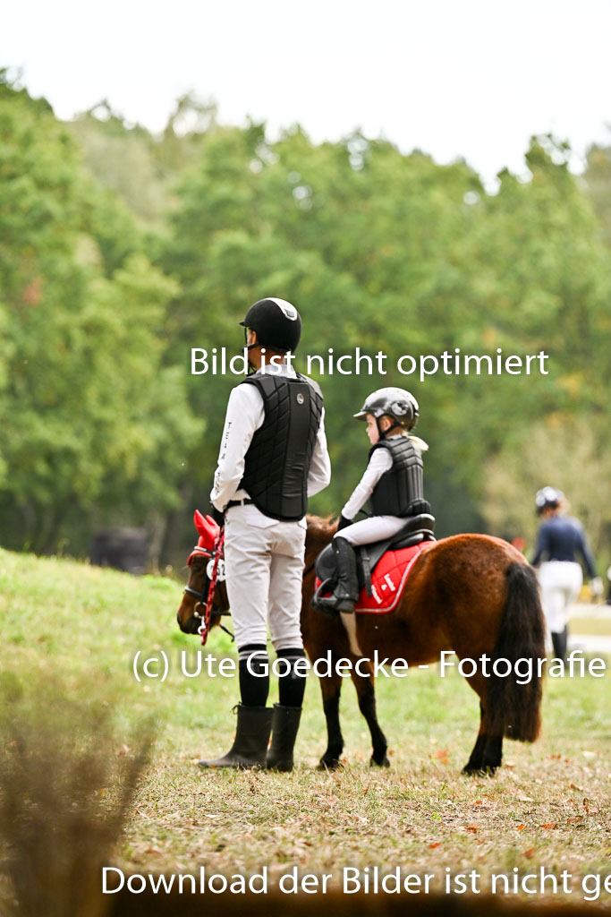  | 27092025  Führzügel WB _213 