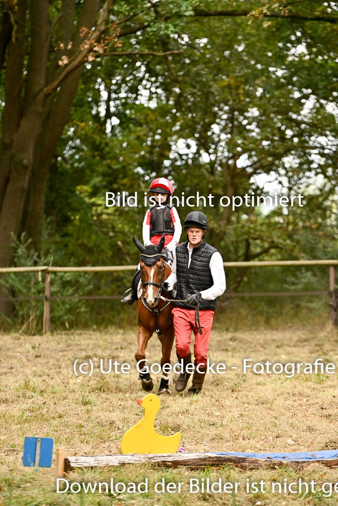  | 27092025  Führzügel WB _215 