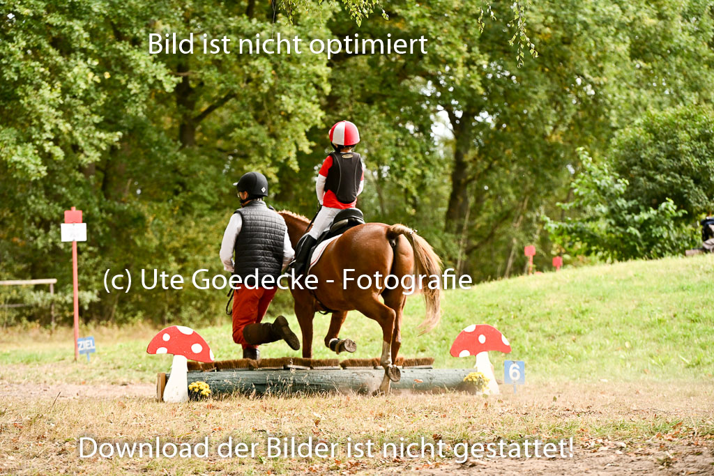  | 27092025  Führzügel WB _220 