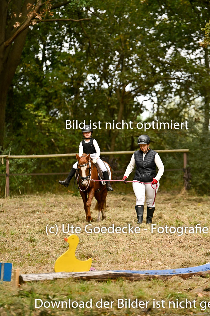  | 27092025  Führzügel WB _221 