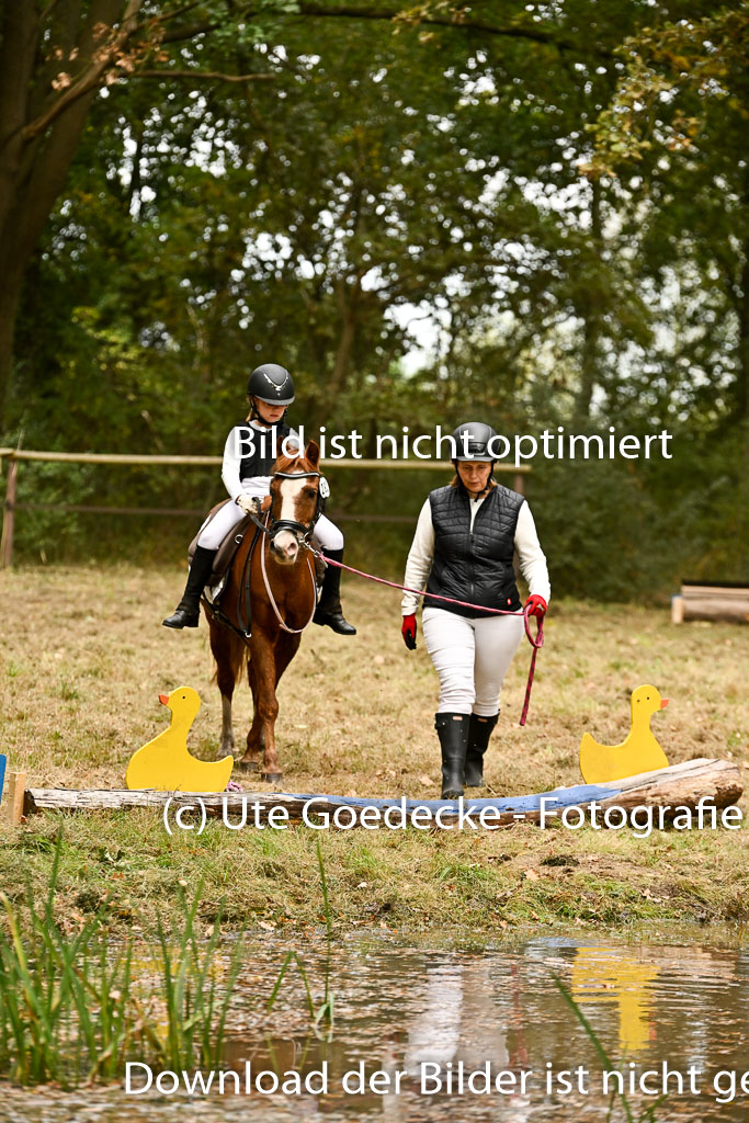  | 27092025  Führzügel WB _222 