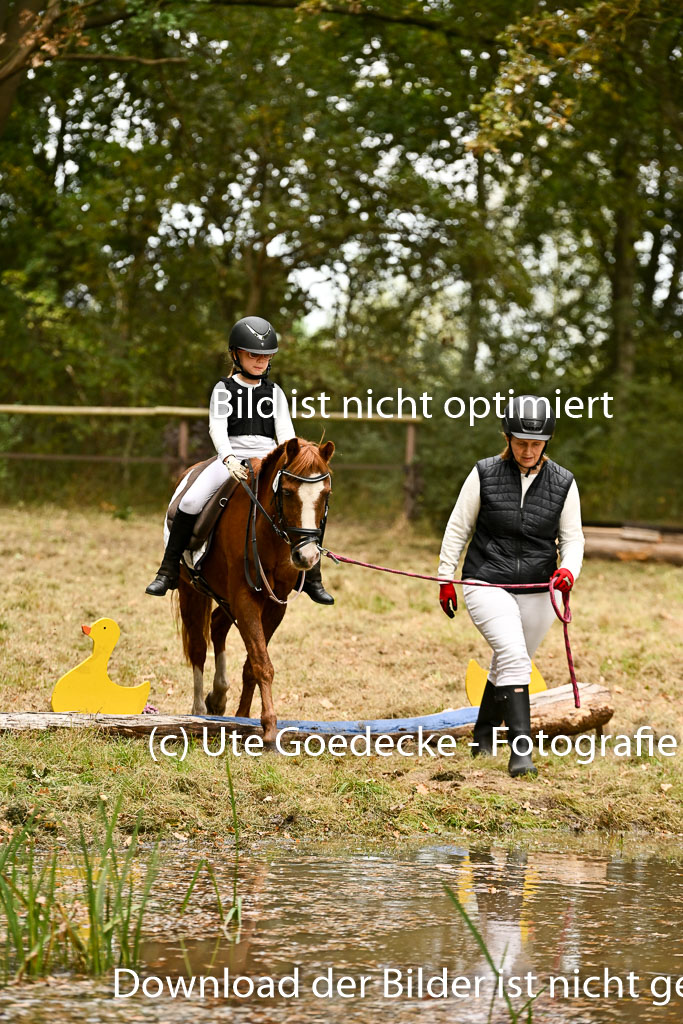  | 27092025  Führzügel WB _223 