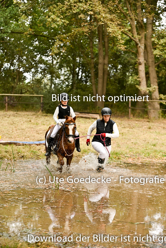  | 27092025  Führzügel WB _225 