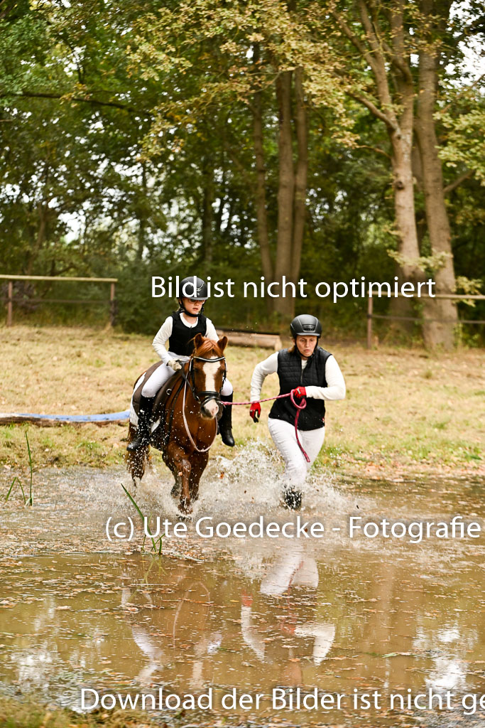  | 27092025  Führzügel WB _226 