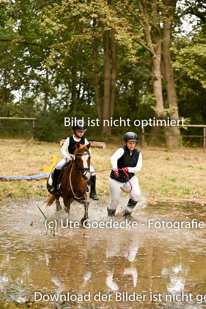  | 27092025  Führzügel WB _228 