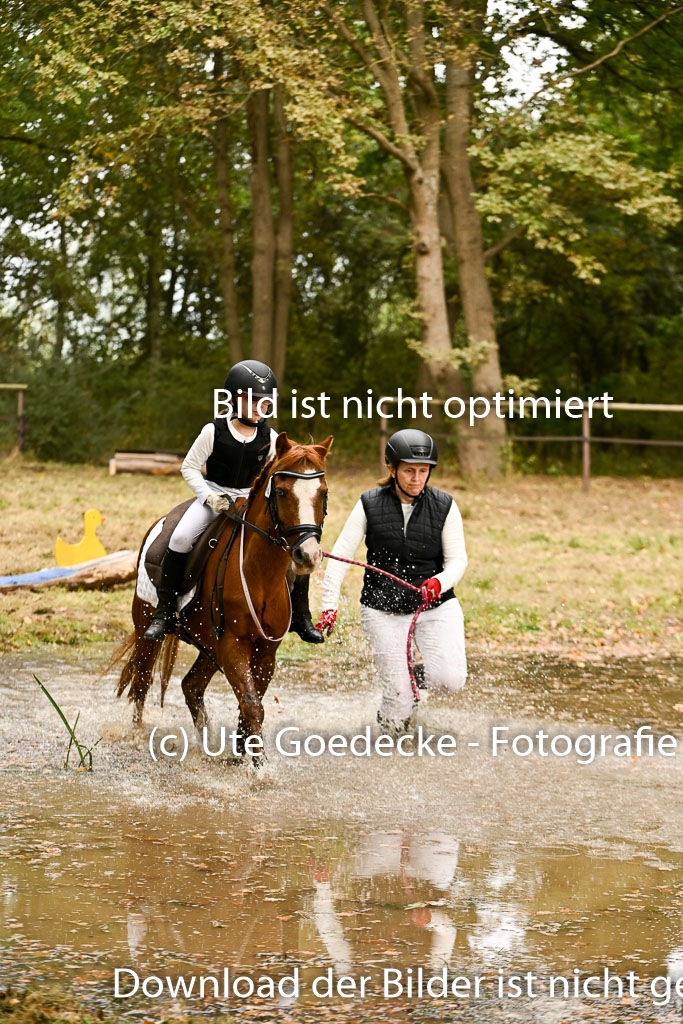  | 27092025  Führzügel WB _231 