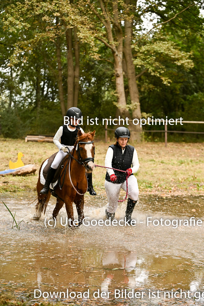  | 27092025  Führzügel WB _232 