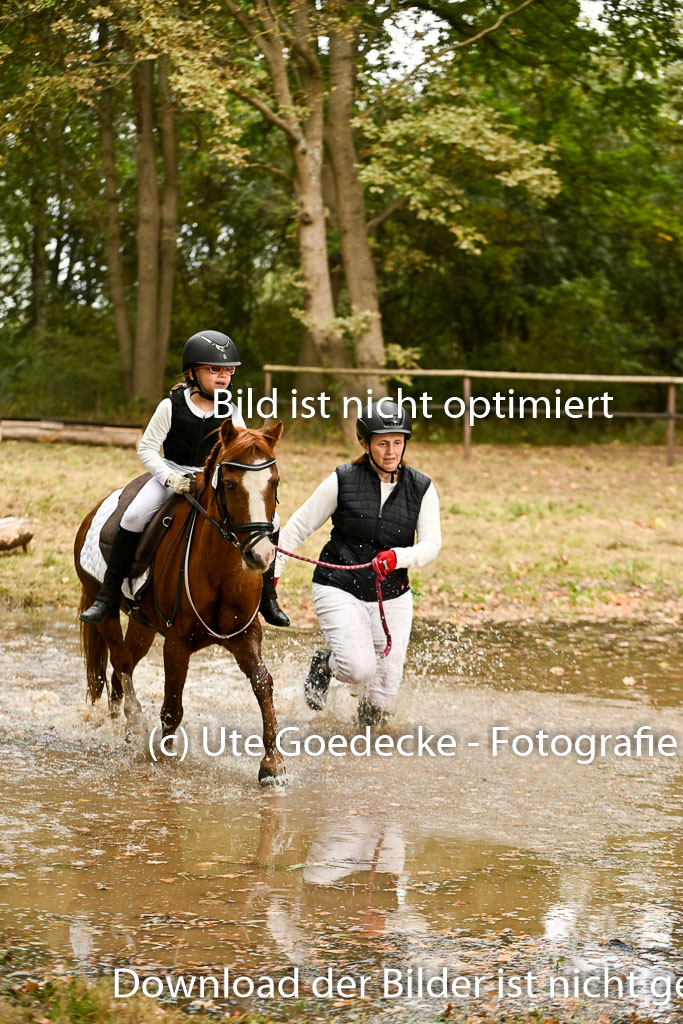  | 27092025  Führzügel WB _234 