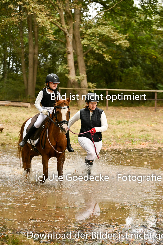  | 27092025  Führzügel WB _235 