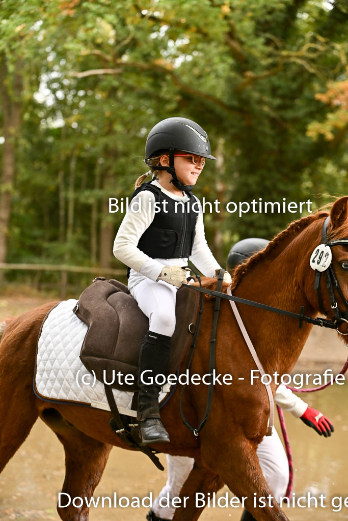  | 27092025  Führzügel WB _237 